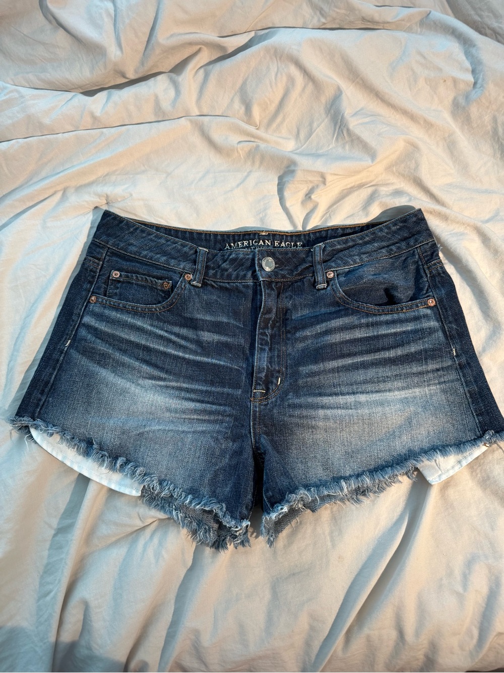 American Eagle Outfitters Blue Denim Shorts